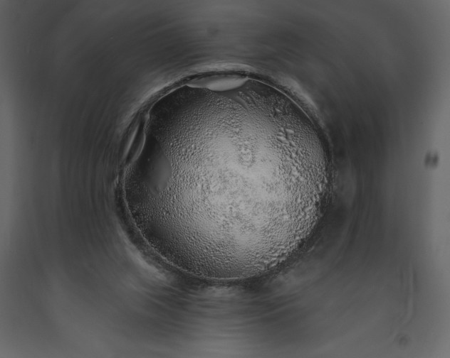 X0000091230063200708231703