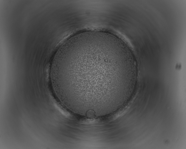 X0000091230065200708231704