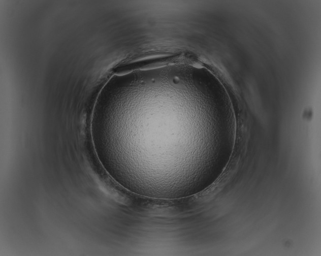 X0000091230066200708231704