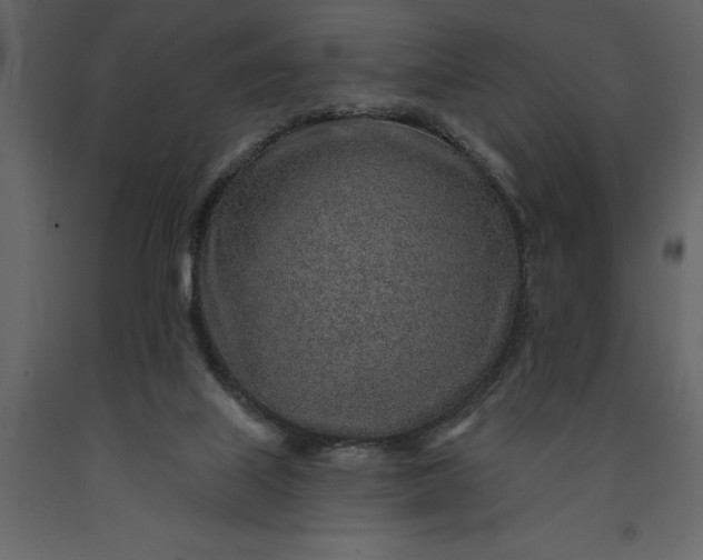 X0000091230067200708231704