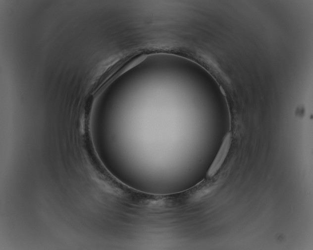 X0000091230068200708231704