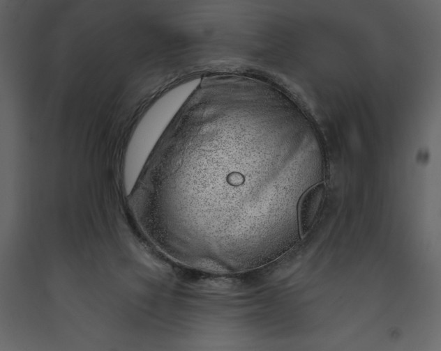 X0000091230069200708231704