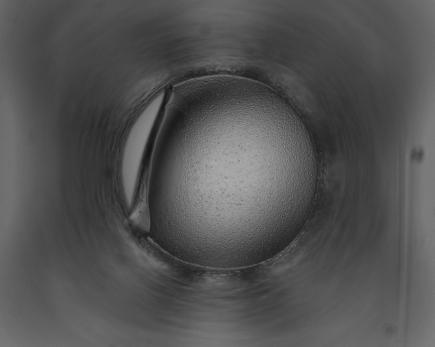 X0000091230070200708231704