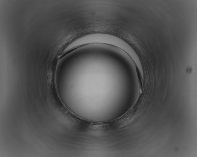 X0000091230072200708231704