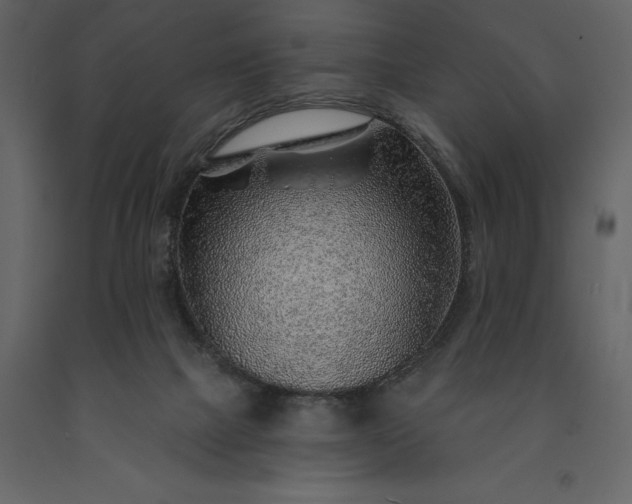 X0000091230073200708231704