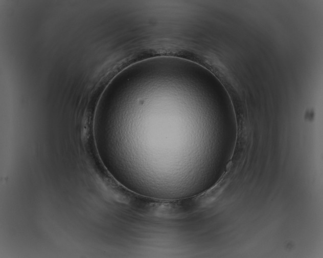 X0000091230074200708231704