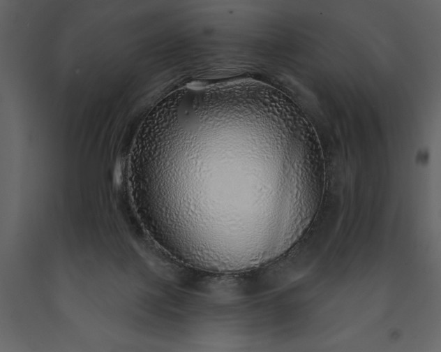 X0000091230075200708231704