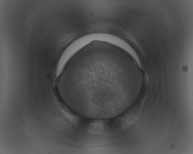 X0000091230076200708231704