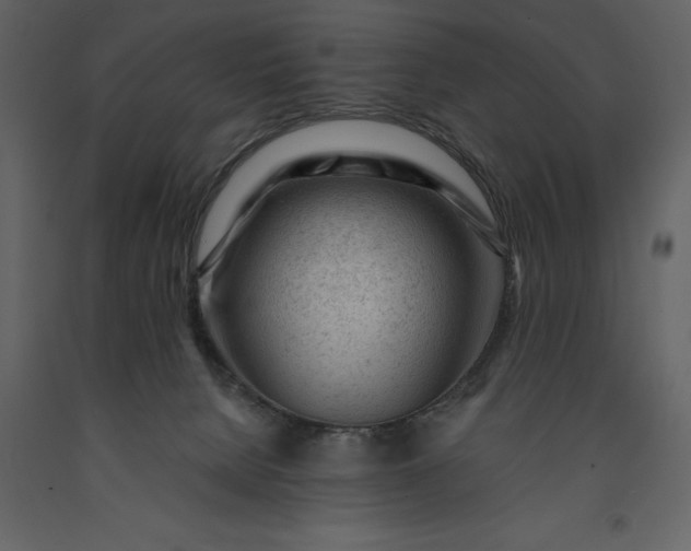 X0000091230080200708231704