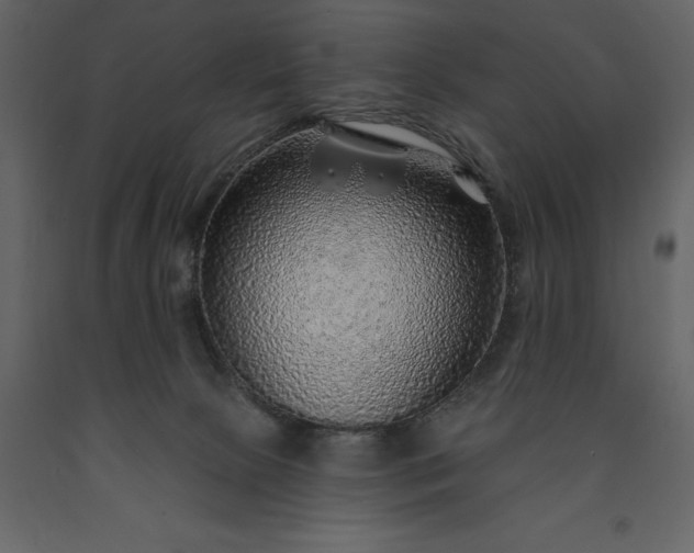 X0000091230081200708231704