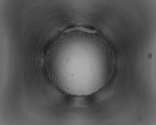 X0000091230085200708231704