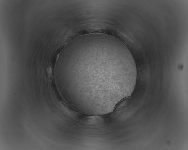 X0000091230087200708231704