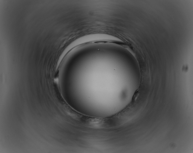 X0000091230088200708231704