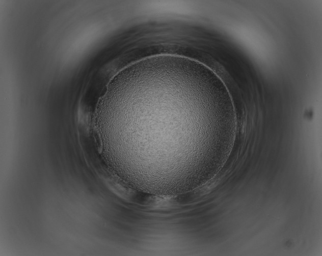 X0000091230093200708231704