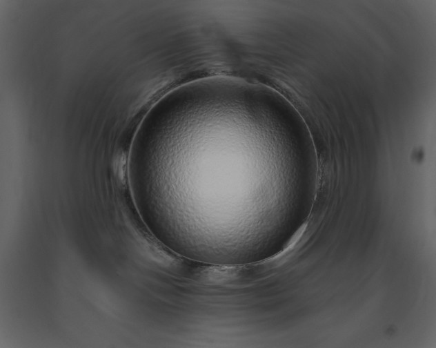 X0000091230094200708231704
