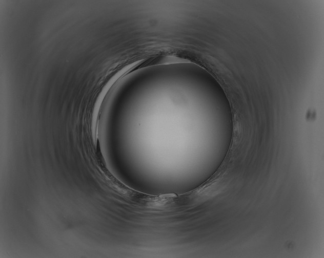 X0000091230096200708231704