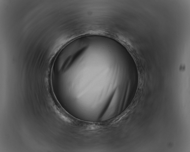 X0000091230098200708231703
