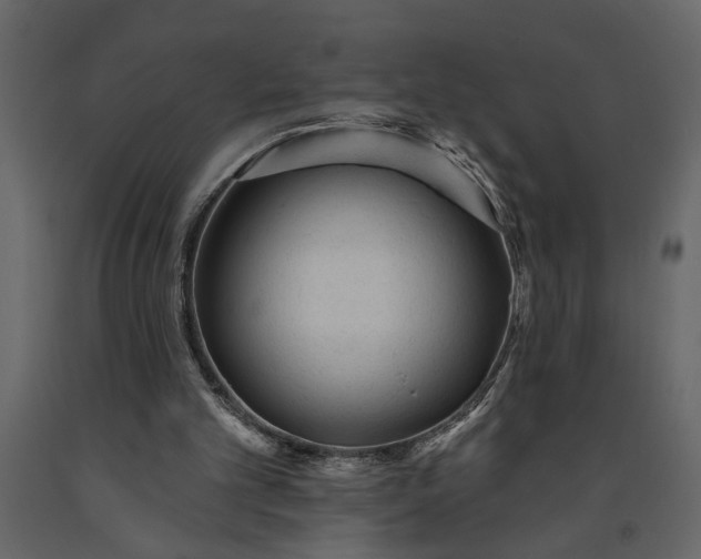 X0000091230101200708231703