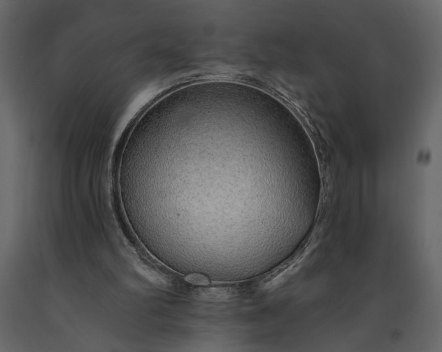 X0000091230102200708231703