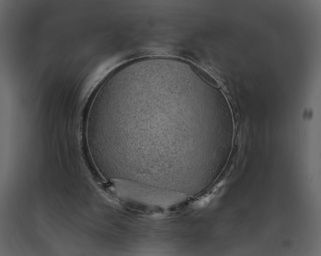 X0000091230103200708231703