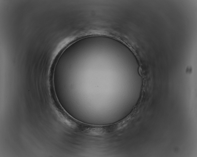 X0000091230104200708231703