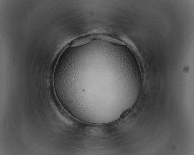 X0000091230106200708231703