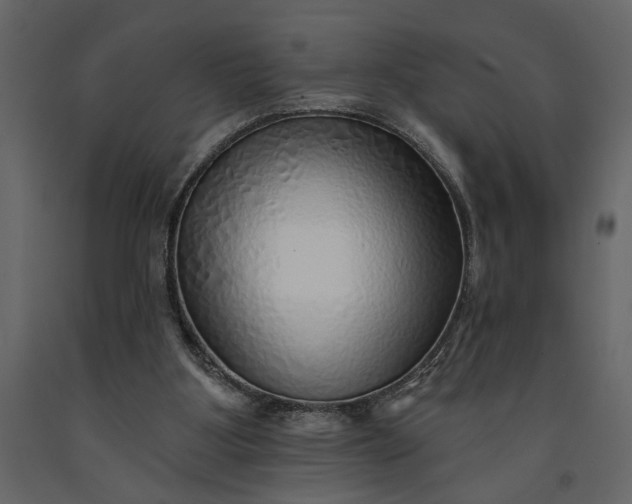 X0000091230107200708231703