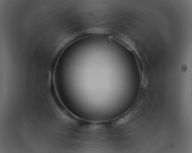 X0000091230109200708231703
