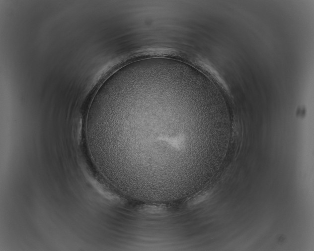 X0000091230110200708231703