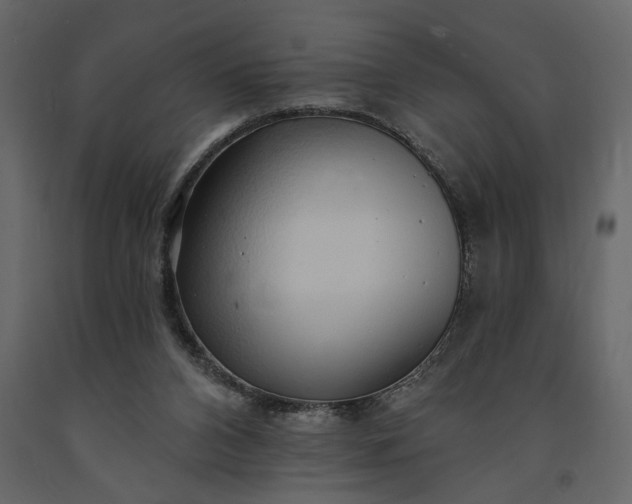 X0000091230112200708231703