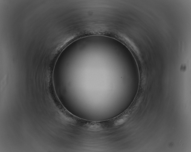 X0000091230113200708231703