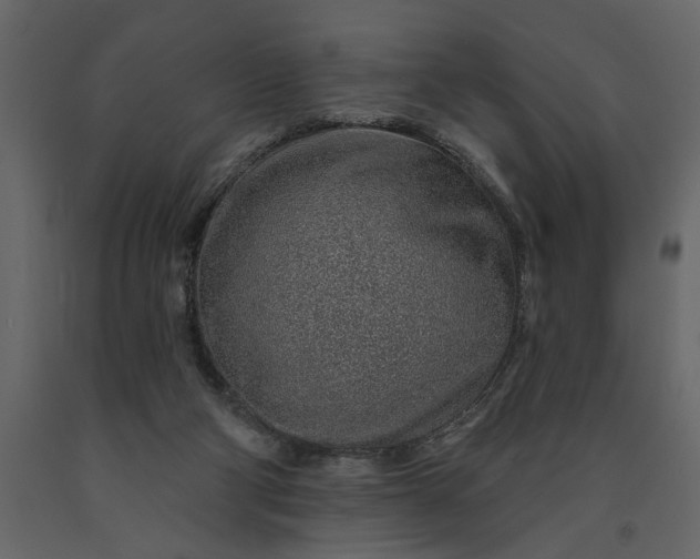 X0000091230114200708231703