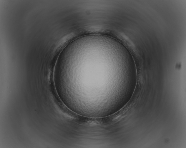 X0000091230115200708231703