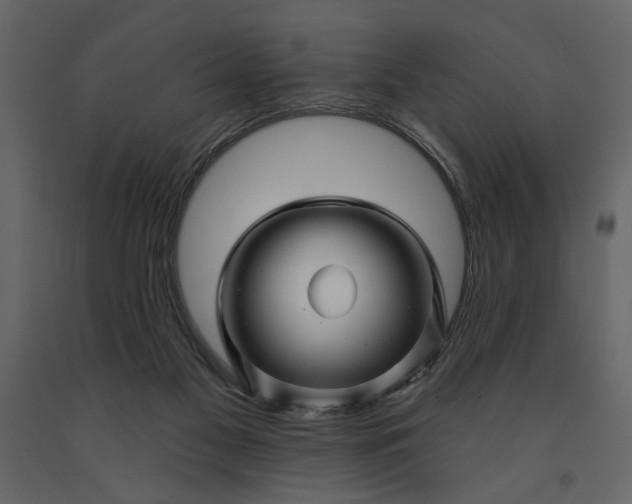 X0000091230117200708231703