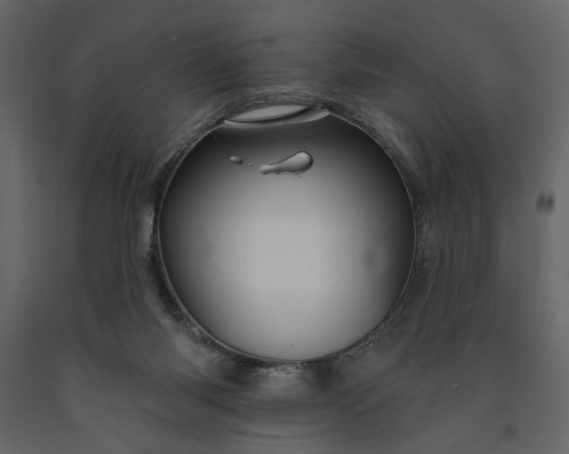 X0000091230118200708231703