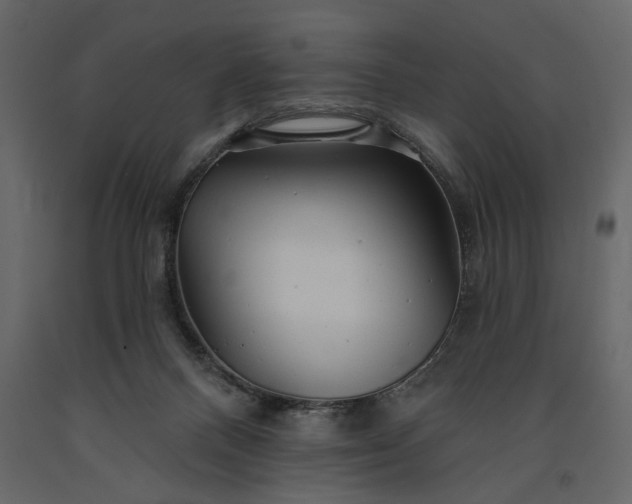 X0000091230120200708231703