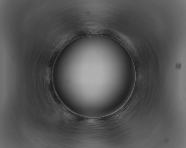X0000091230121200708231703