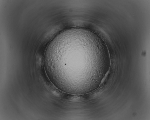 X0000091230123200708231703