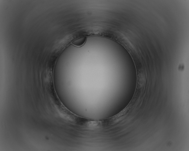 X0000091230126200708231703