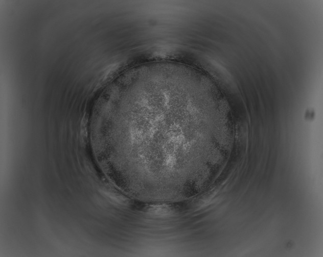X0000091230127200708231703