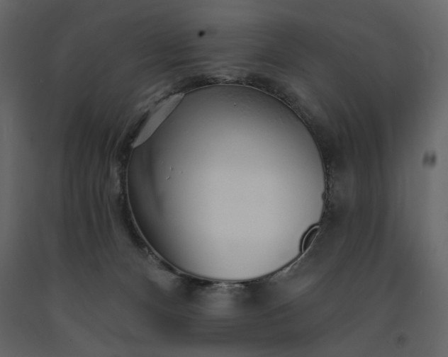 X0000091230128200708231703