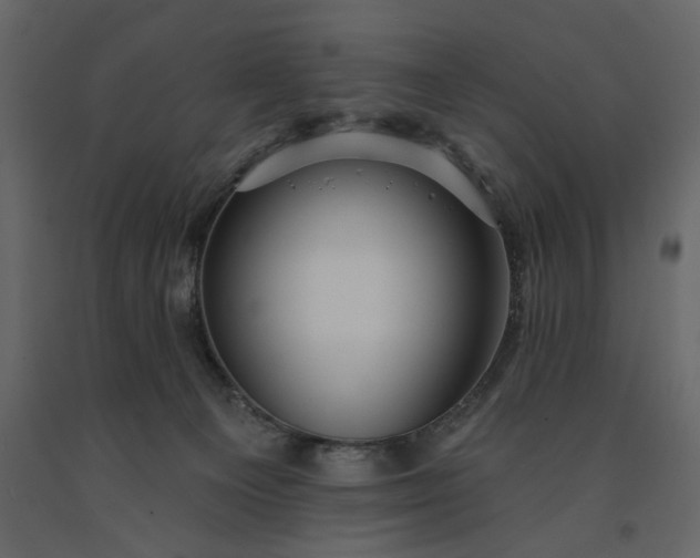 X0000091230129200708231703