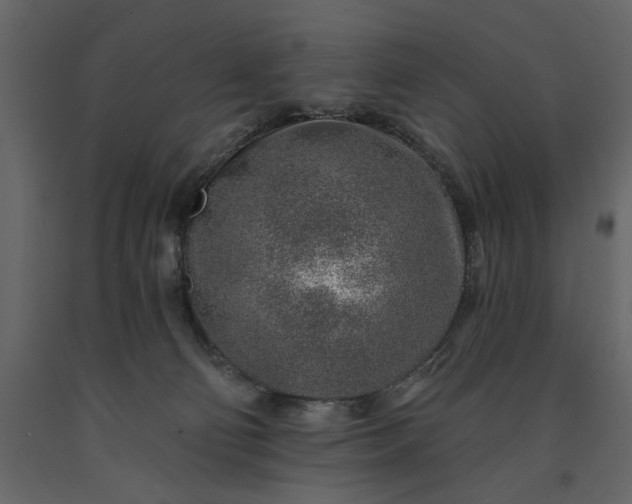 X0000091230130200708231703