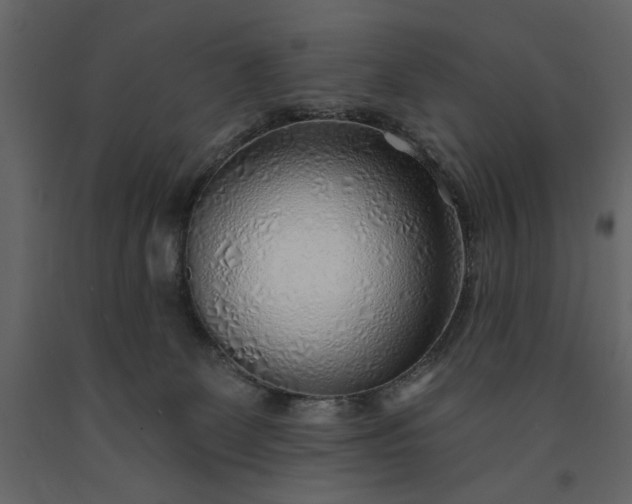 X0000091230131200708231703