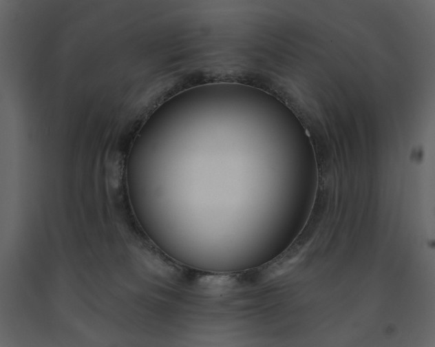 X0000091230133200708231703