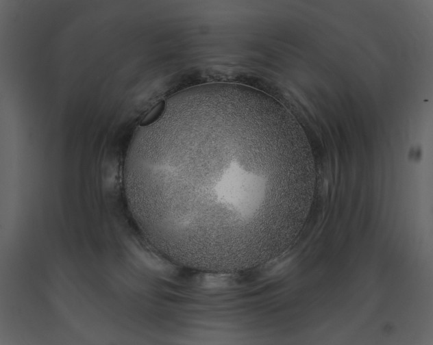 X0000091230134200708231703