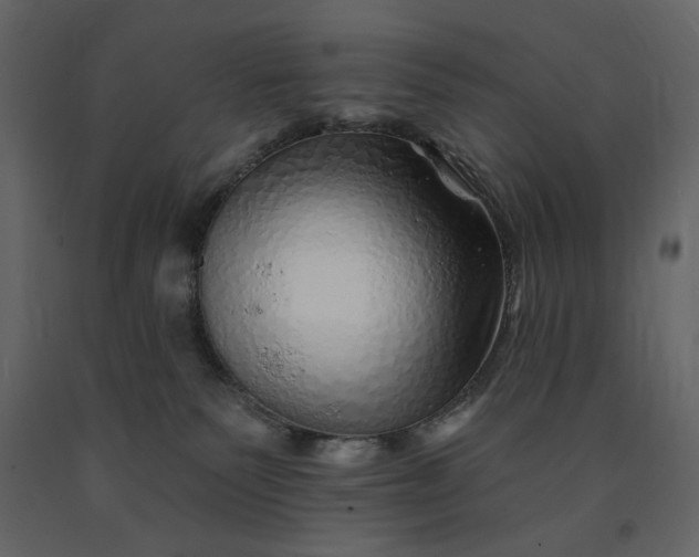 X0000091230135200708231703