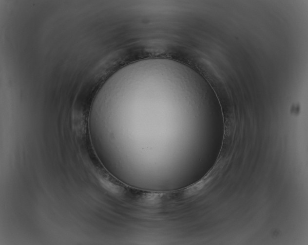 X0000091230136200708231703