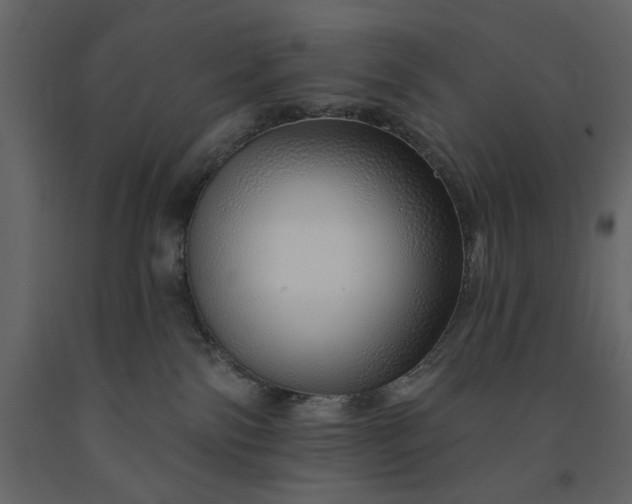 X0000091230138200708231703