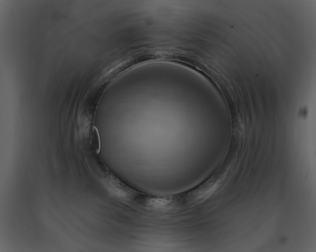 X0000091230139200708231703